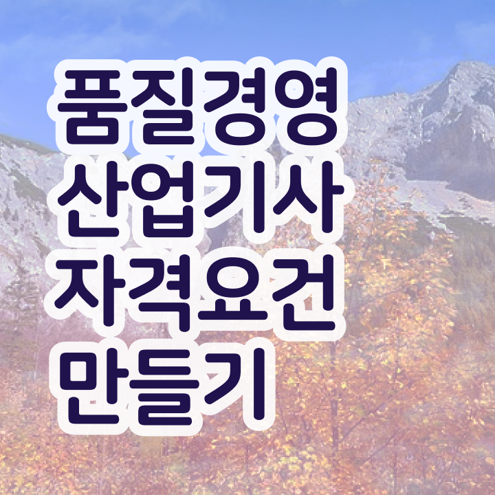 품질경영산업기사 실기 후기 품질경영산업기사 시험응시자격 인강만 듣고 15주 동안 성공한 방법