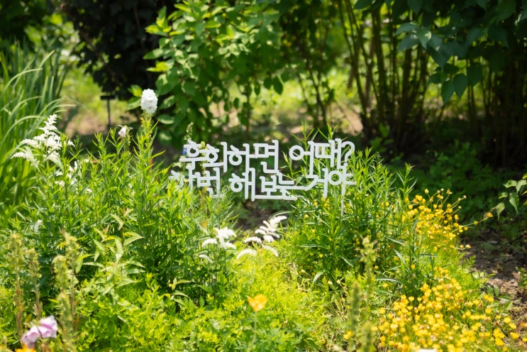  서울숲 -> 응봉산