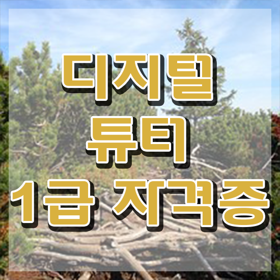  디지털배움터 강사 , 디지털튜터 경력없는 사람도 빠르게 완료한 방법