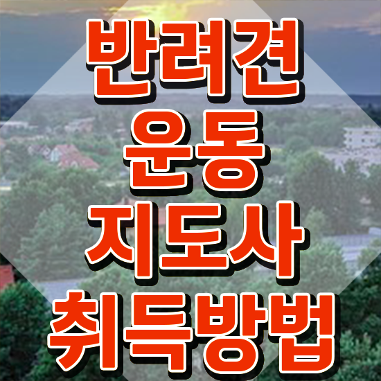  40대남성취업 반려견운동지도사 상세한 취득했던 후기