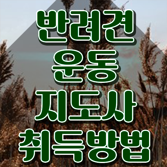  동물보건사 전망 반려견운동지도사자격증 취득방법 및 무료수강