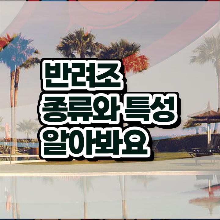  코뉴어 앵무새 , 반려조관리사 자격증 응시자격 없이 준비한 과정 , 구직정보