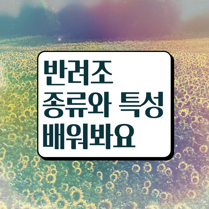  , 반려조관리사 자격증 2주 만에 합격한 후기 추천합니다