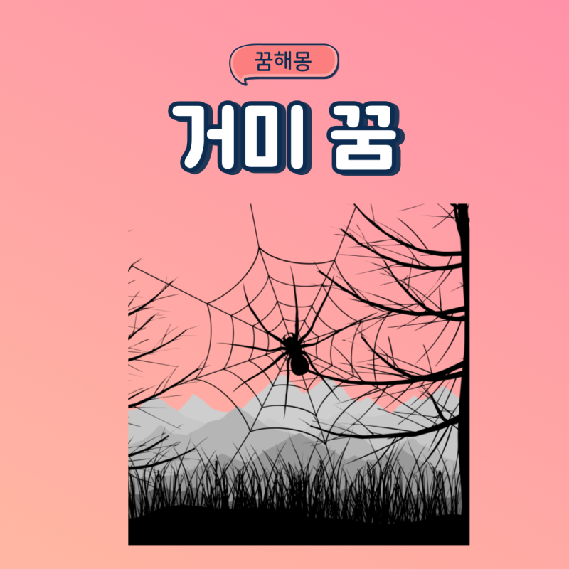 거미 나오는꿈 거미 잡는꿈 보는꿈 죽이는꿈