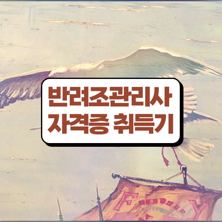  사랑 앵무새 키우기 , 반려조관리사 자격증 취득한 정보 궁금하다면