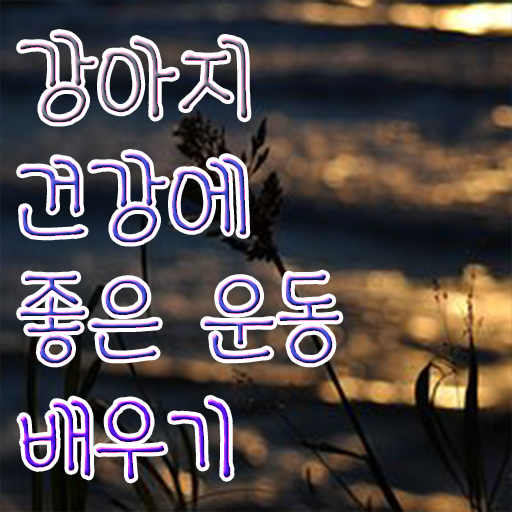  40대남성취업 , 반려견운동지도사 온라인으로 비전공 직장인도 편하게 준비하는 과정