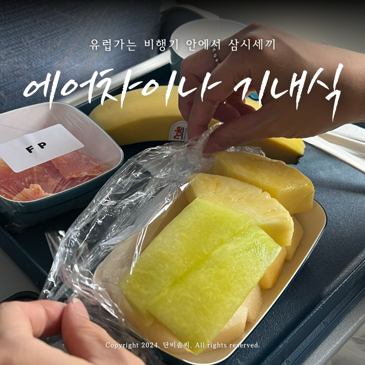  에어차이나 기내식 | 과일식, 일반식, 저열량식(고객센터 특별 기내식 신청방법)