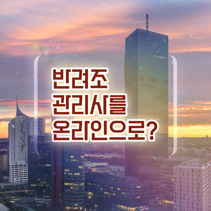  코뉴어 앵무새 , 반려조관리사 자격증 준비한 과정 핵심 공개