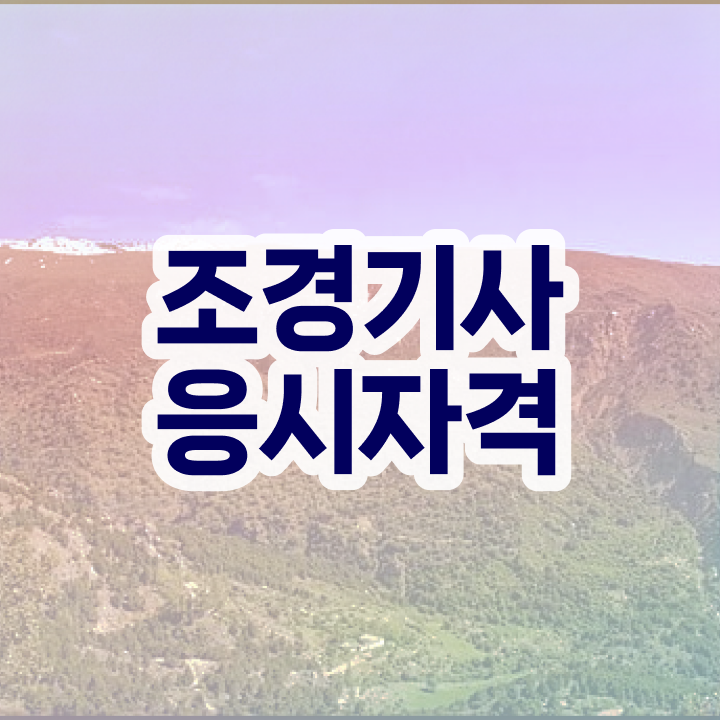 조경기사 시험 조경기사 자격요건 집에서 온라인으로 1학기 만에 끝낸 후기