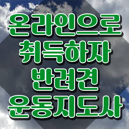  동물관련직업연봉 , 반려견운동지도사 일하면서 고졸자도 빠르게 끝내는 과정