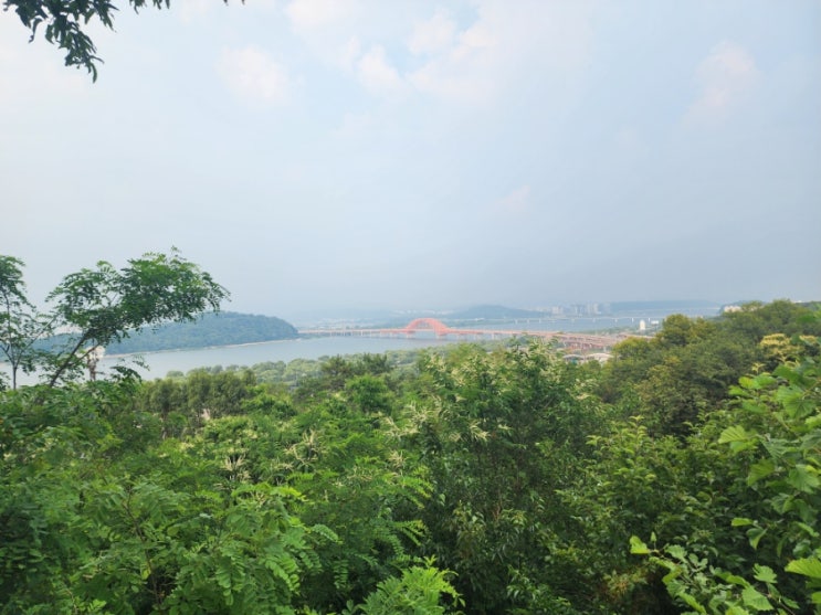  서울 강서구 가볼만한곳 개화산 둘레길 산책 / 사진기록 / 2024.06.06 목