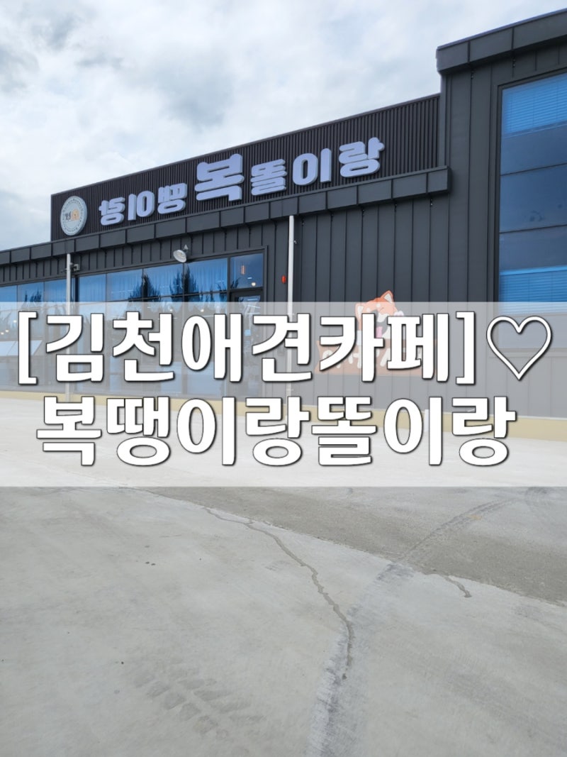 복땡이랑똘이랑