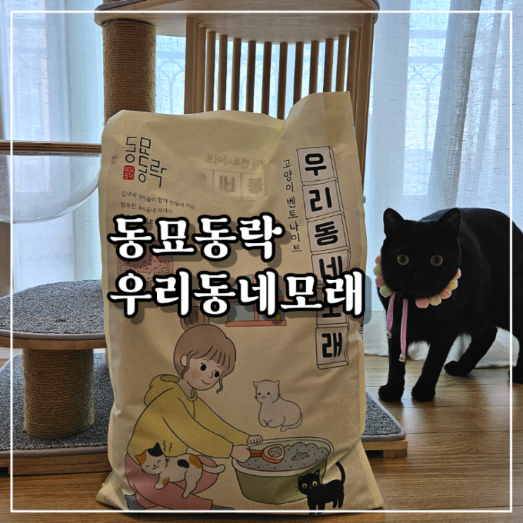 고양이모래 추천 탈취력 가성비 좋은 먼지없는 동묘동락 벤토나이트 고양이모래 고양이모래 추천 탈취력 가성비 좋은 먼지없는 동묘동락 벤토나이트 고양이모래