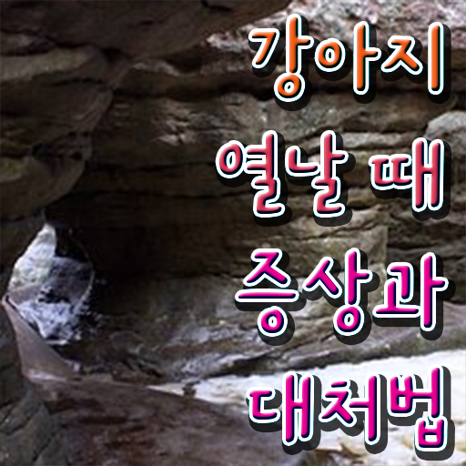  40대 취업 , 반려동물관리사 자격증 온라인으로 간단히 합격한 전략 및 고용 전망