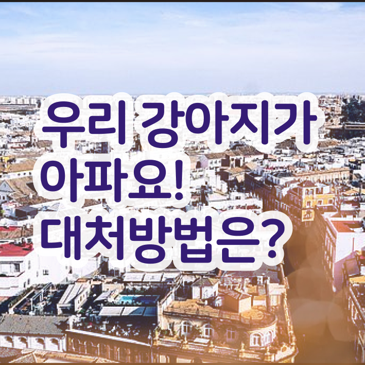  반려동물 관리사 , 반려동물관리사 자격증 쉽고 간편하게 합격한 전략 여기서 확인하세요