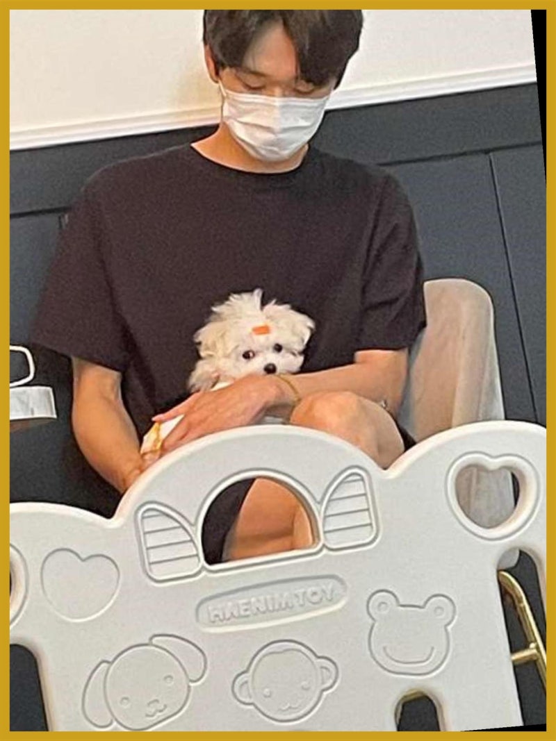 사진 9