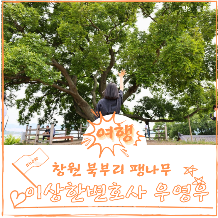  창원 북부리 팽나무 이상한 변호사 우영우 촬영지 천연기념물 지정