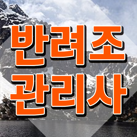  앵무새 키우기 , 반려조관리사 자격증 온라인으로 쉽게 취득한 방법 최단기간 취득한 과정
