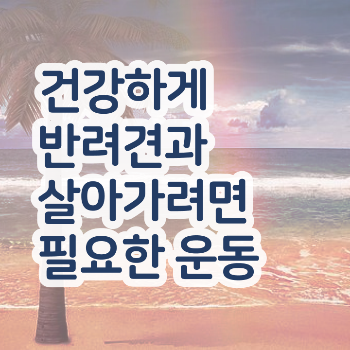  40대여자취업 , 반려견운동지도사 고졸도 혼자서 독학으로 간단하게 준비한 팁