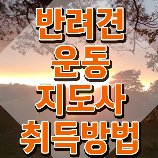  동물관련 직업 , 반려견운동지도사 1달 만에 취득한 노하우