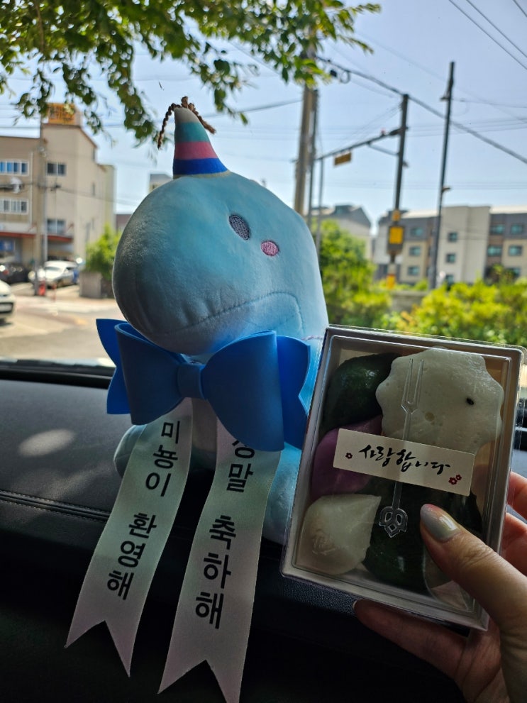  제주 아라동 떡집 답례떡 선물로 좋은 아라미소 떡집