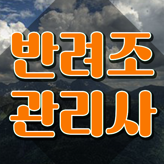  앵무새키우기 , 반려조관리사 자격증 합격한 후기 정보 모두 드려요