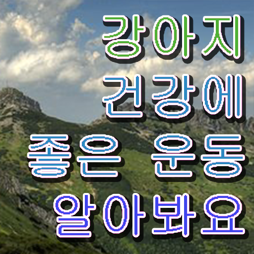 반려견 순찰대 , 반려견운동지도사 온라인 과정만으로 비전공자도 쉽고 빠르게 성공한 전략
