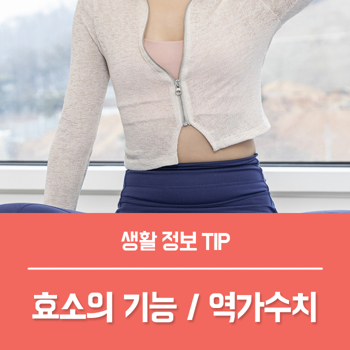  효소의 기능 소화효소 추천 기준, 효소 역가수치란?