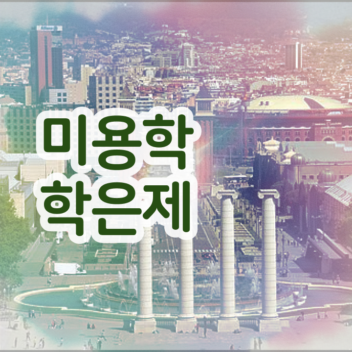  미용자격증 비교 평가 없이 , 2학기로 헤어자격증 끝낸방법
