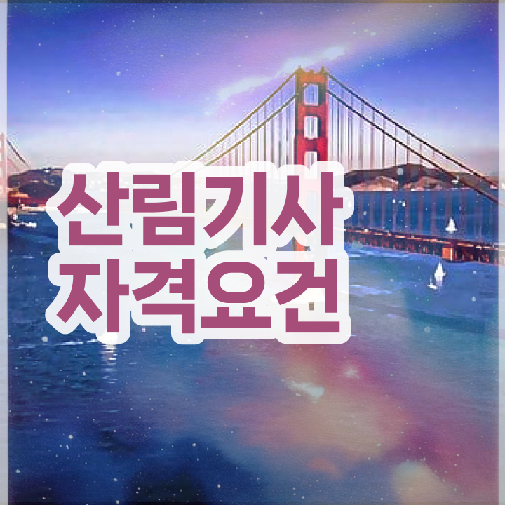  산림기사 학점은행제 산림기사 자격요건 온라인 과정으로 5달만에 준비한 비법