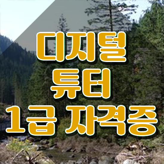  디지털 리터러시 뜻 , 디지털튜터 관련학과 아니어도 빠르게 성공한 노하우