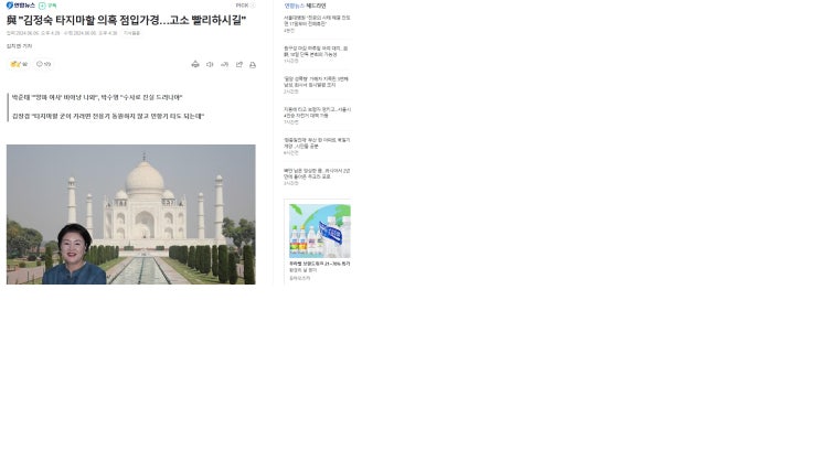 與 "<b>김정숙 타지마할</b> 의혹 점입가경…고소 빨리하시길"