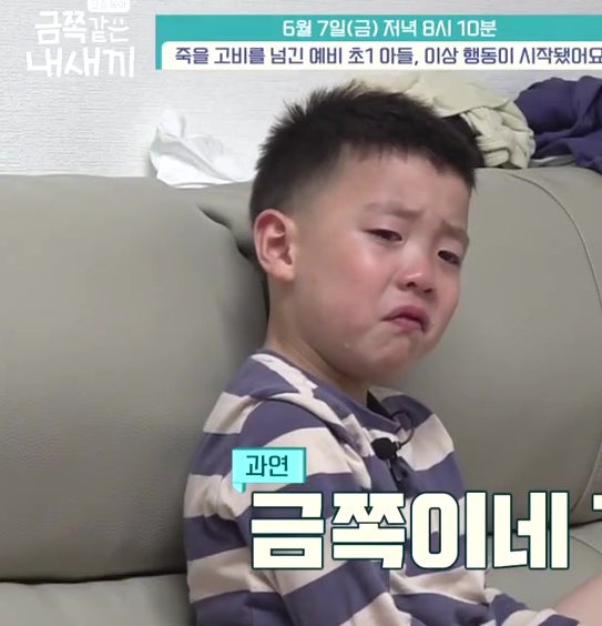 초1 금쪽이 아들 불리불안 퇴행행동 사회적 상호작용 못배워 금쪽같은 내새끼 초1 금쪽이 아들 불리불안 퇴행행동 사회적 상호작용 못배워 금쪽같은 내새끼