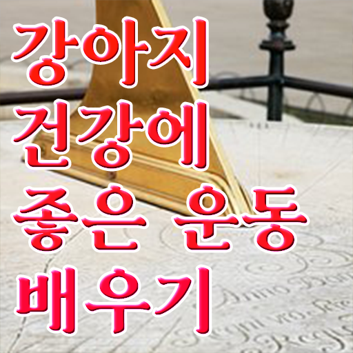  40대 경단녀 , 경력없어도 반려견운동지도사 취득할 수 있어요