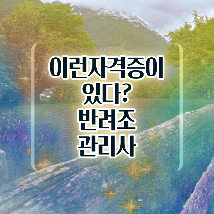 퀘이커 앵무새 수명 , 반려조관리사 자격증 취득한 과정 소개