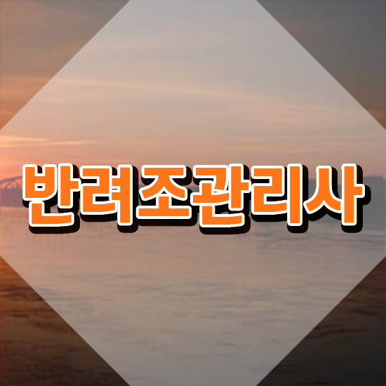  앵무새 , 반려조관리사 자격증 합격한 팁 확인하기