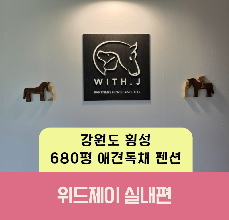네이버 인플루언서 [네이버 인플루언서] 알칼맘의 독채애견펜션