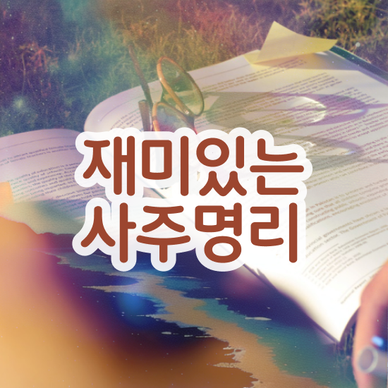  사주풀이 책 , 심리상담사 자격증 20일 만에 취득한 정보 , 취업