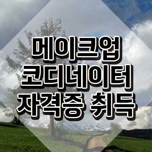  남자 메이크업 아티스트 , 메이크업코디네이터 자격증 쉽고 빠르게 합격한 전략 콕콕 짚어드립니다