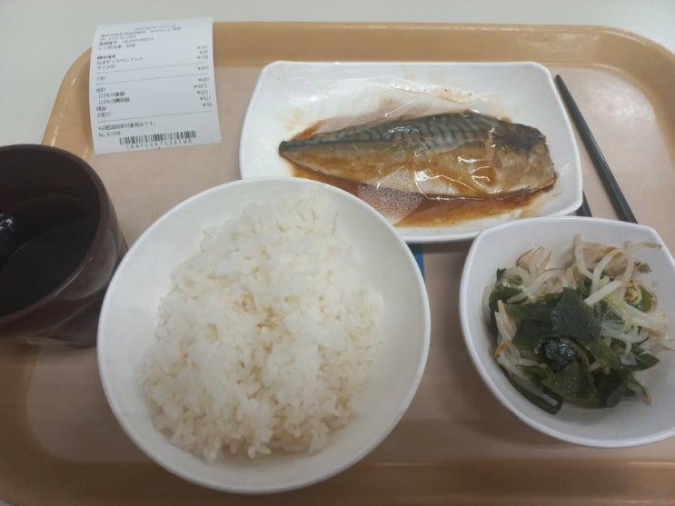  일본 후쿠이 대학 교환학생 일기 [D+73] 아스와가와 러닝
