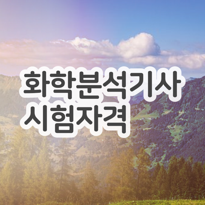  화학분석기사 화학분석기사 시험응시자격 집에서 온라인으로 1학기 만에 끝낸 전략