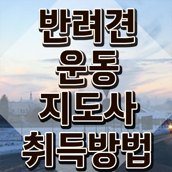 반려견 순찰대 반려견운동지도사자격증 상세한 준비 과정