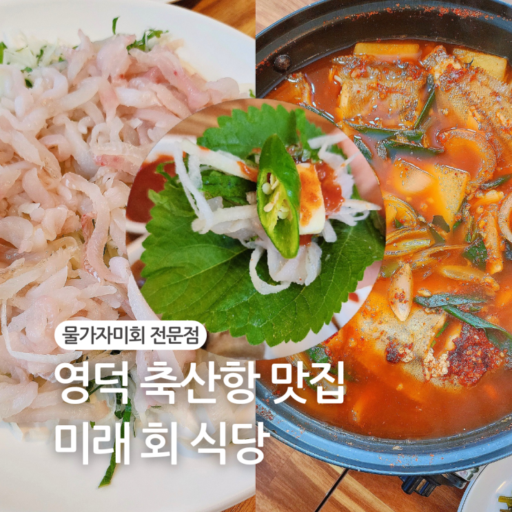  물가자미전문점/영덕맛집 미래회식당