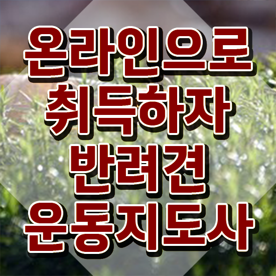  반려 동물보건사 자격증 , 반려견운동지도사 집에서 온라인으로 완료한 꿀팁 모음