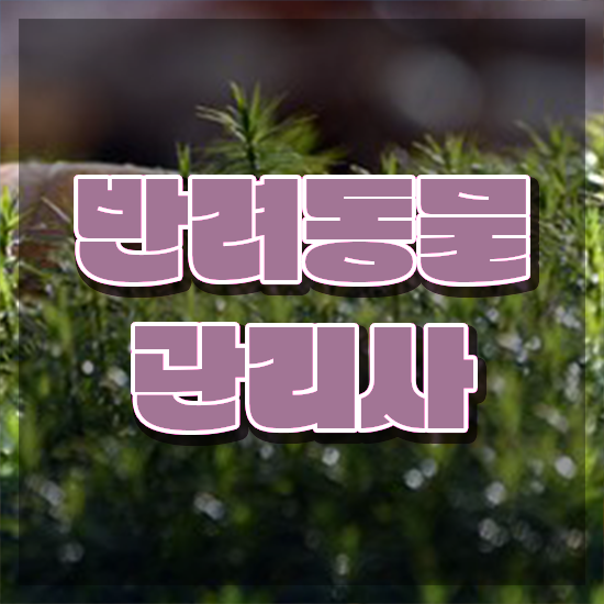  반려동물관리사 , 반려동물관리사 자격증 비용없이 온라인으로 합격정보 궁금증 해결