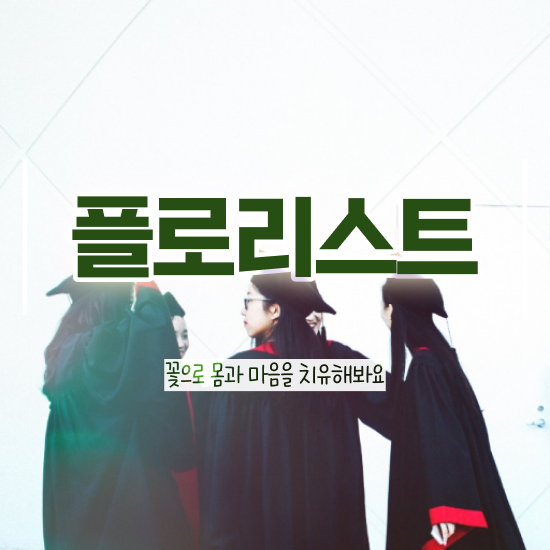  화병 꽃꽂이 , 플로리스트 자격증 준비한 방법 확인하기