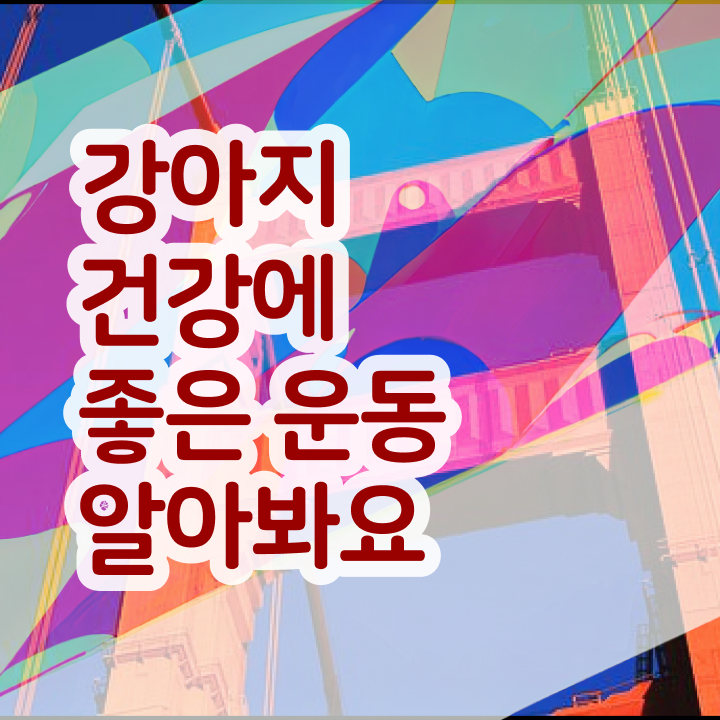  반려동물목욕관리사 온라인 교육으로 반려견운동지도사자격증 합격한 팁 확인해봅시다