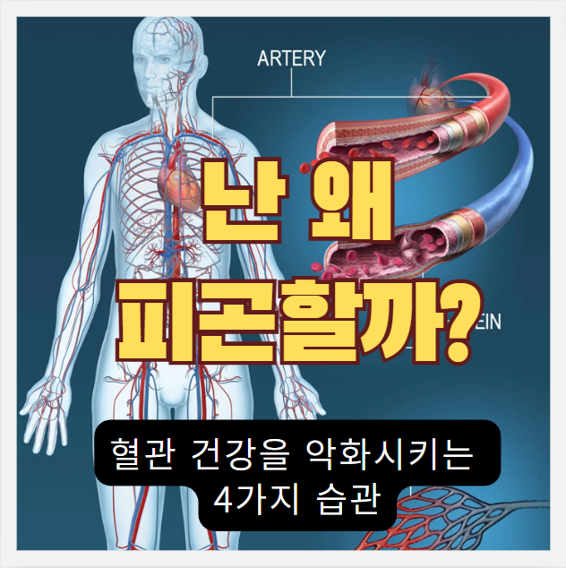  피곤하고 몸이 안좋은 이유가 있습니다 - 건강을 악화시키고 동맥경화, 심혈관질환을 유발하는 습관 4가지