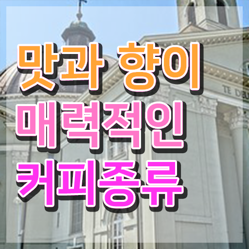  커피바리스타 전문가 , 바리스타 자격증 20일 만에 합격한 전략 , 구직정보