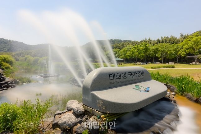 ‘죽음의 강’에서 ‘울산의 심장’으로…시민들이 만든 ‘태화강 국가정원’ ‘죽음의 강’에서 ‘울산의 심장’으로…시민들이 만든 ‘태화강 국가정원’